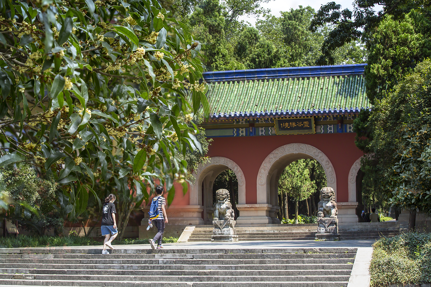 Osmanthus Blossom Festival of Linggu Temple