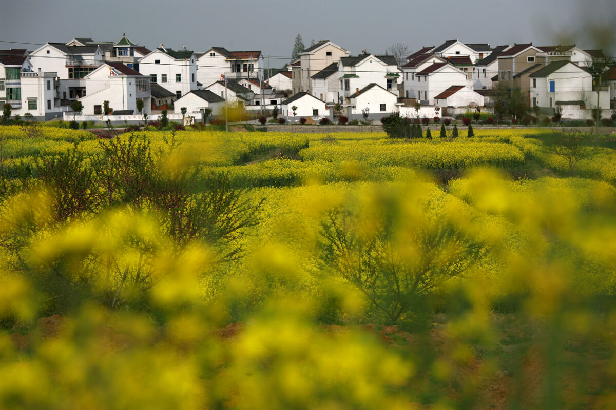 Eco Tour Scenery