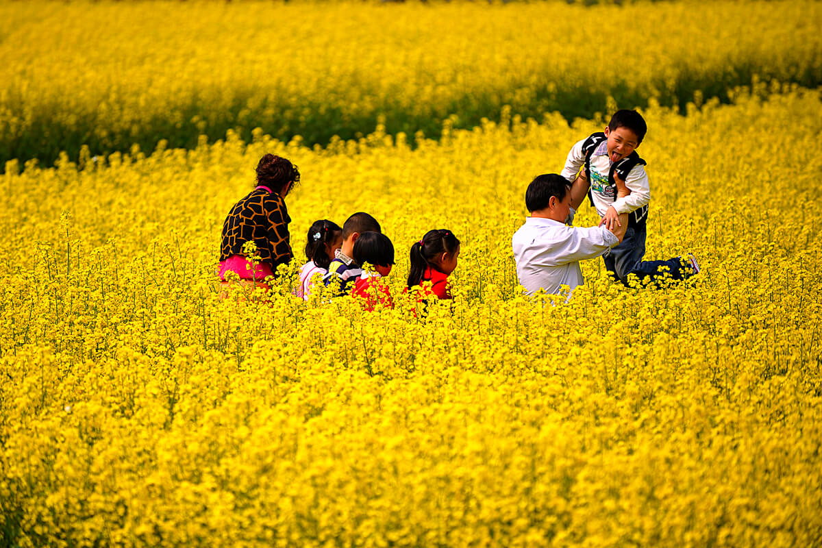 Gaochun Golden Section