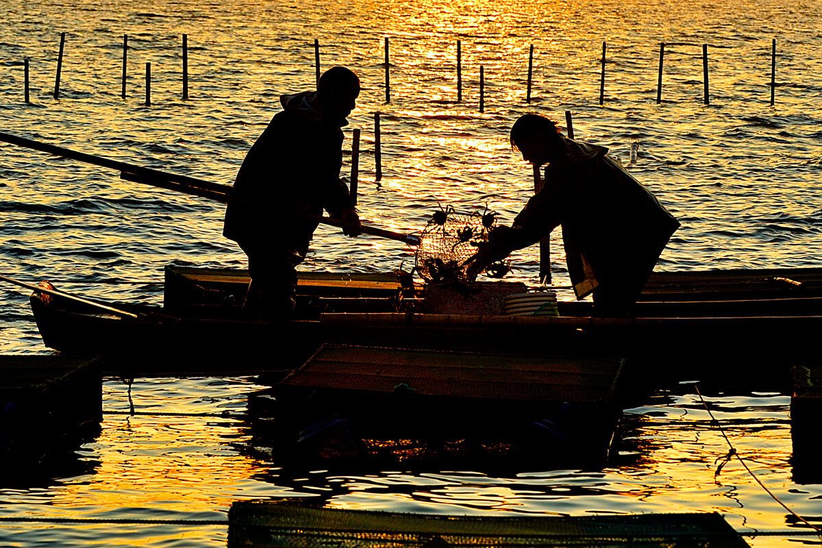 Crabbing in Nanjing