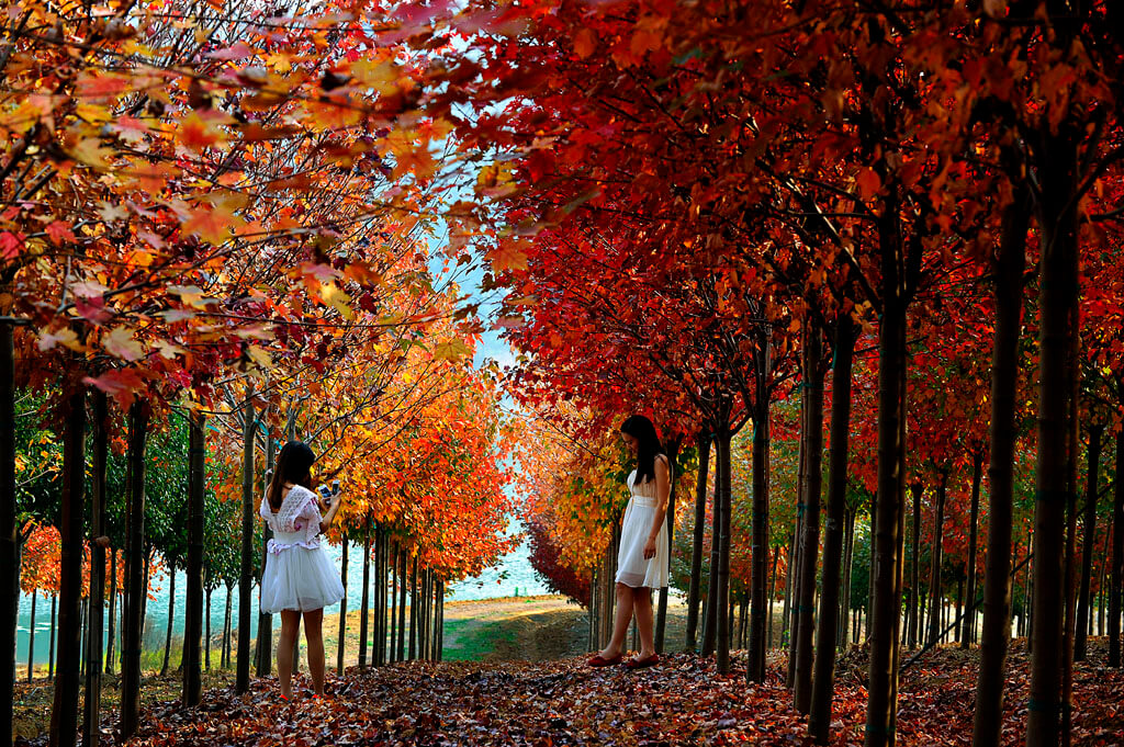 Autumn in Nanjing