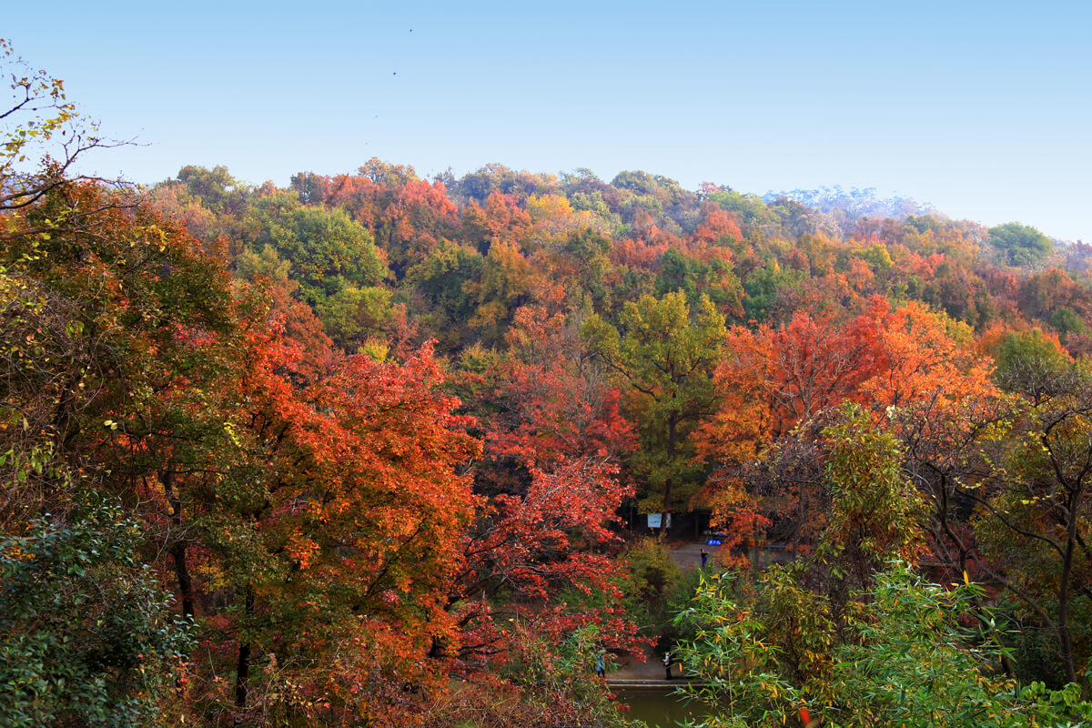 Autumn in Nanjing