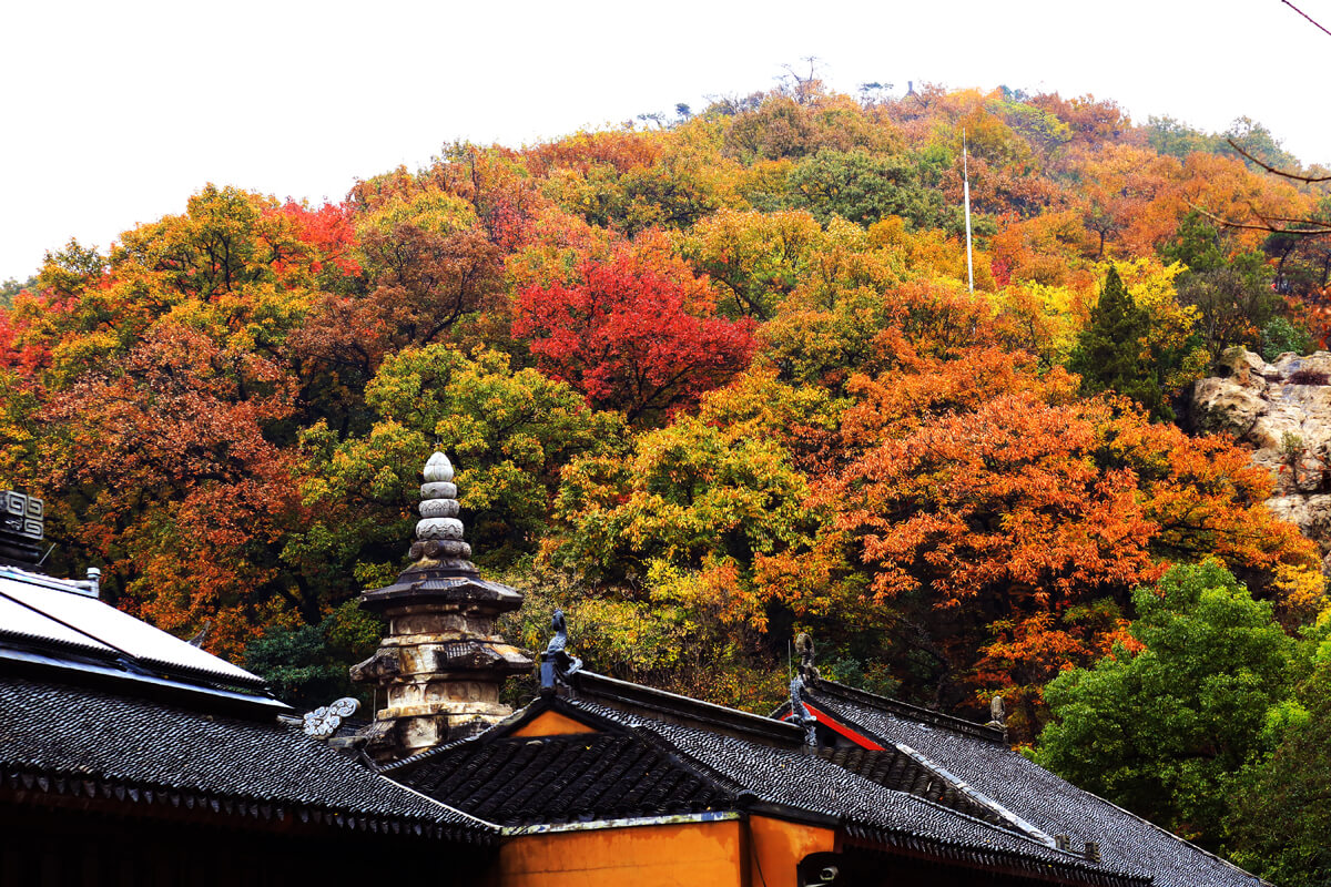 Autumn in Nanjing