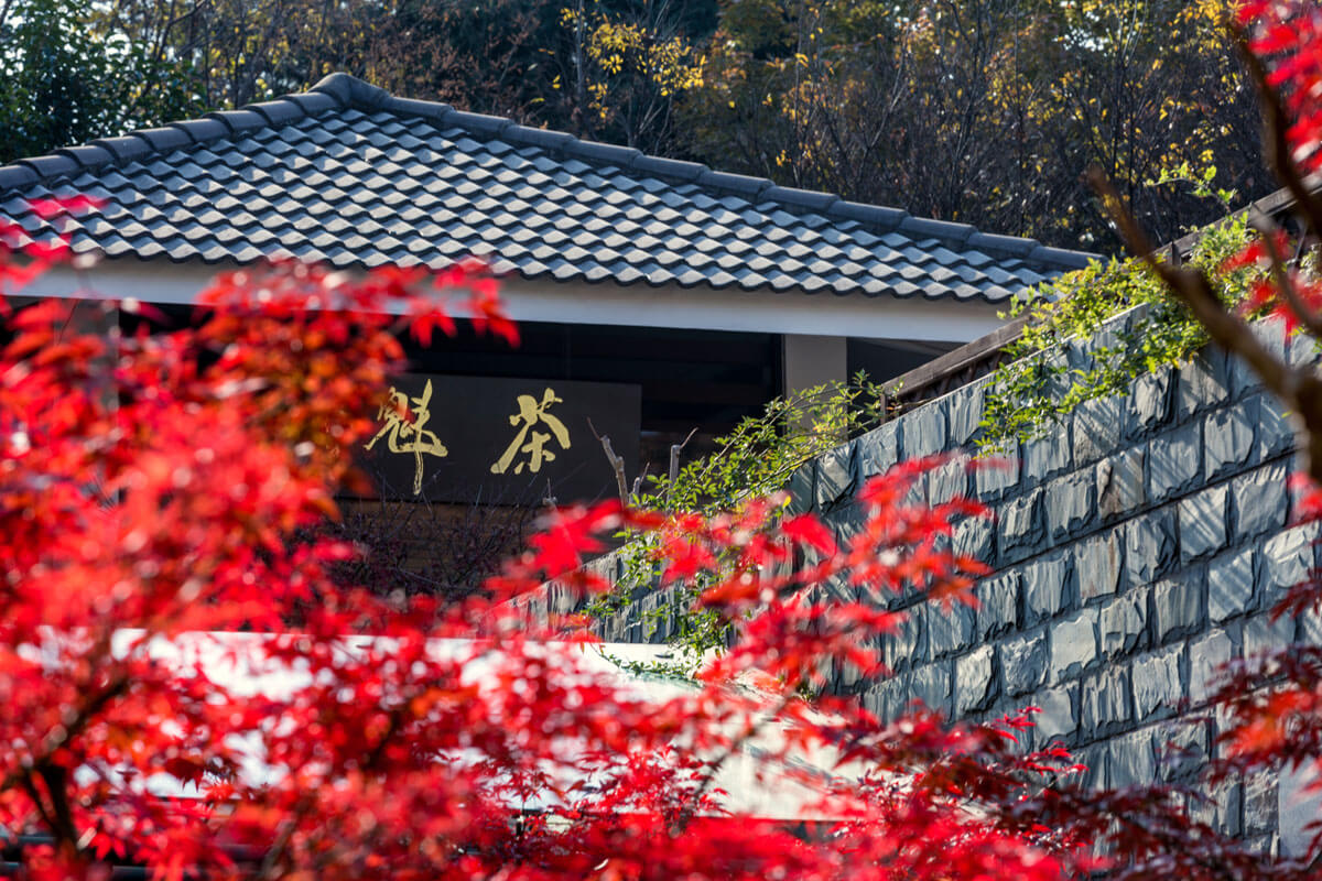 Autumn at Qingliang Temple