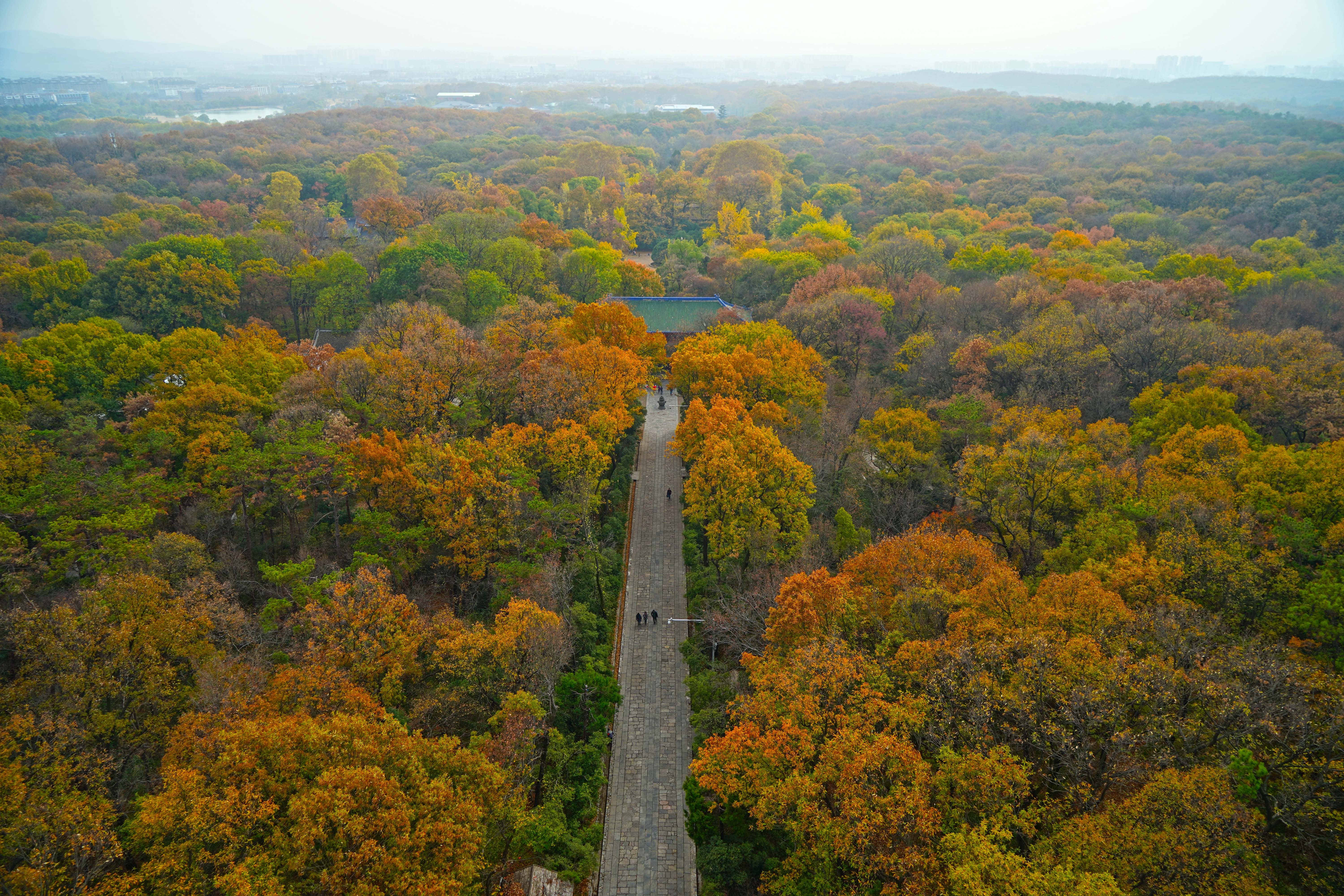 Autumn in Nanjing