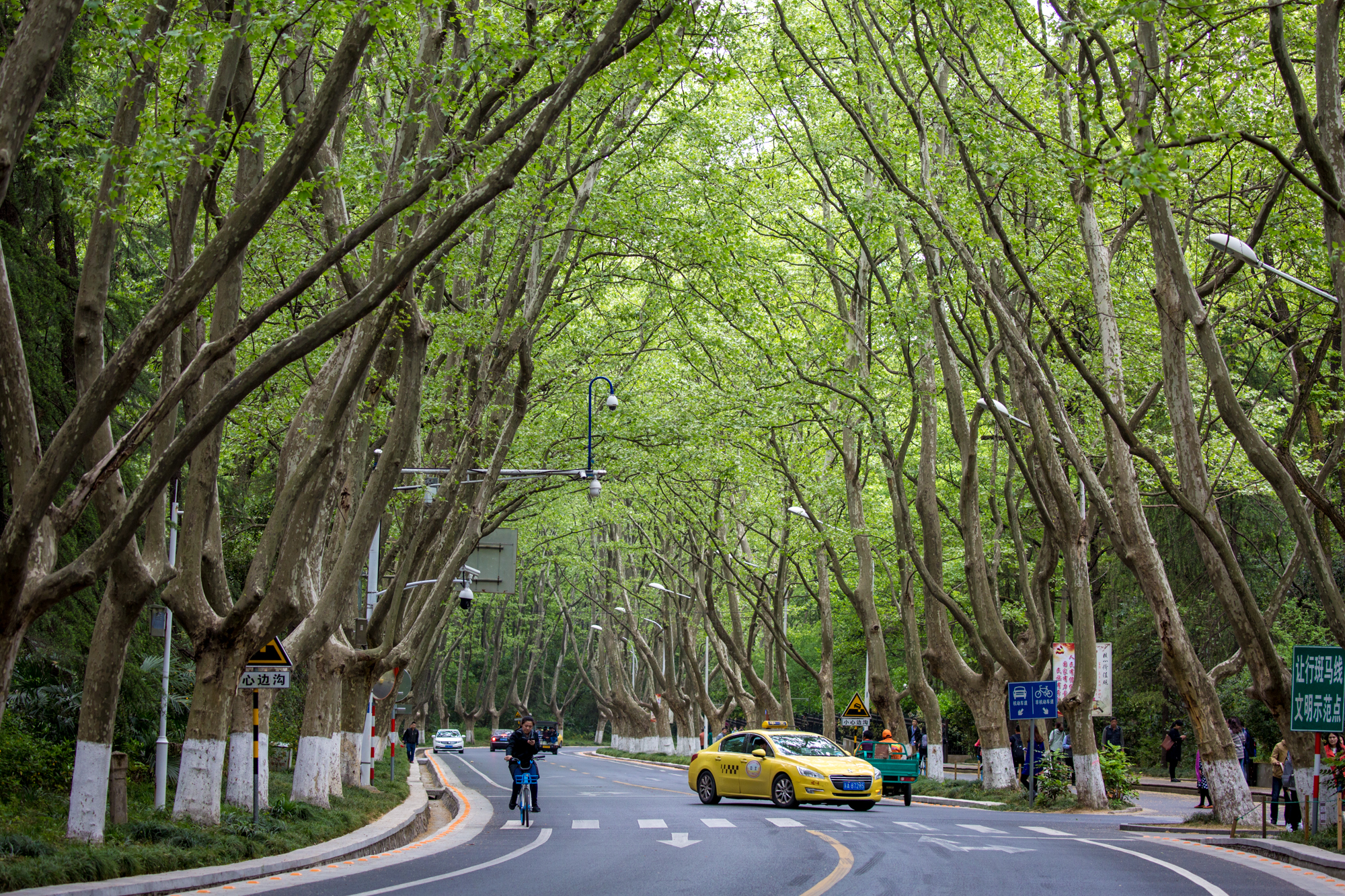 Lingyuan Road