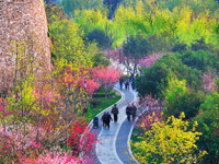 Nanjing seasons