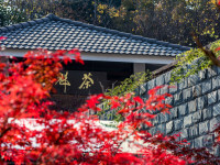 Autumn at Qingliang Temple